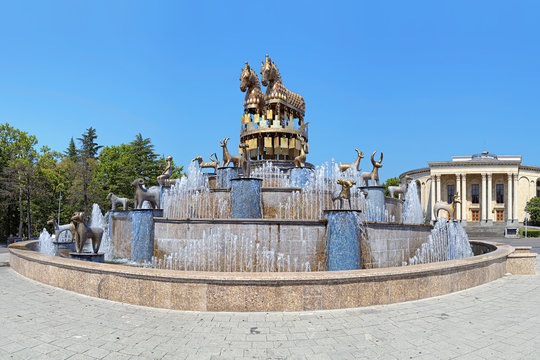 รูปภาพColchis เลือกดูภาพถ่ายสต็อก เวกเตอร์ และวิดีโอ983 Adobe Stock