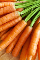 fresh carrots bunch on wood