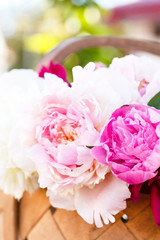 peonies in basket