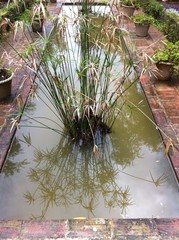 Maurischer Zierteich