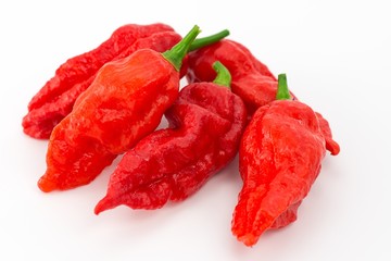Bhut Jolokia - Peperoncino serpente