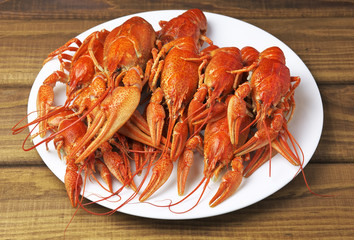 Tasty boiled crayfishes on a white plate