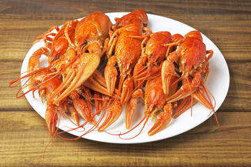 Tasty boiled crayfishes on a white plate
