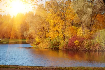Autumn Landscape. Sunny park in fall. 