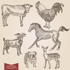 Engraving style crosshatch domestic farm animals pets set