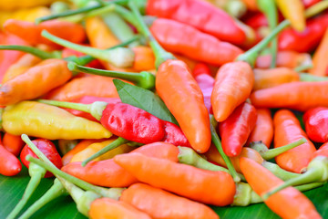 closeup of  colorful fresh  peppers group
