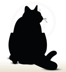 cat silhouette