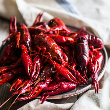 Crayfish on wooden background