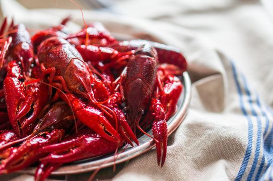 Crayfish on wooden background
