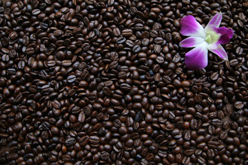 Background of the many big coffee beans