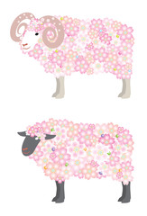 羊 / 花
