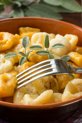 Gnocchi di ricotta e di zucca misti nel tegame di coccio