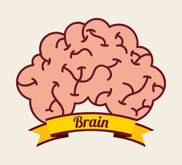 brain design