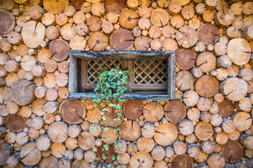 The original wooden walls
