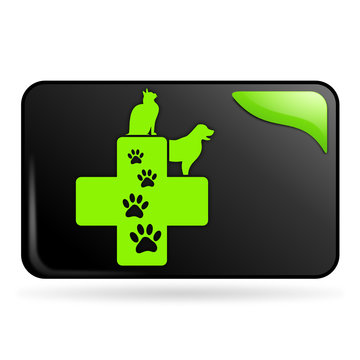 v&eacute;t&eacute;rinaire sur bouton web rectangle vert