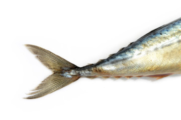 Closeup of fish tail, Mackerel, tuna, saba