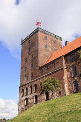 Turm Des Schloss Koldinghus Auf