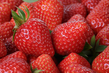 fresh strawberries close up
