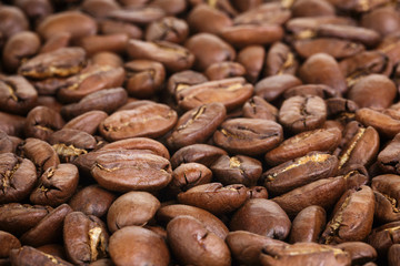 big arabica coffee beans