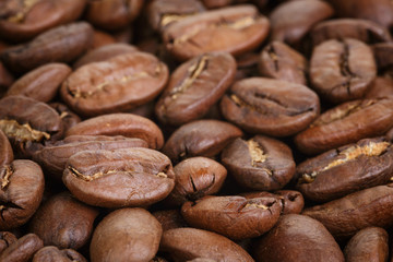 big arabica coffee beans