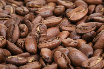 big arabica coffee beans