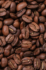 big arabica coffee beans background
