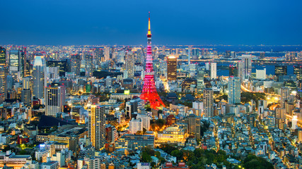 Fototapeta na wymiar Tokyo city view visible on the horizon