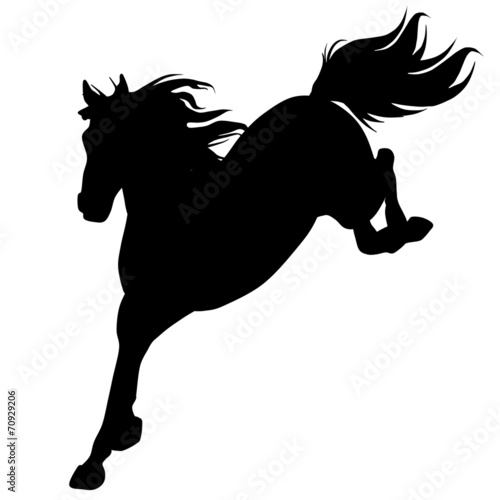 Black horse silhouette 14 (vector)