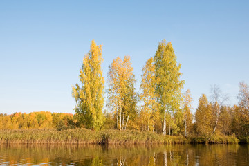 Осеняя пора на озере, северная Россия.
