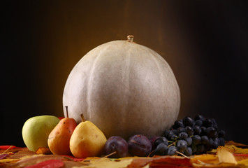 Pumpkin with fruits over leaves