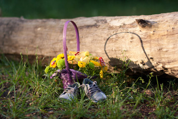 Colorful flowers outside with shoes on grass