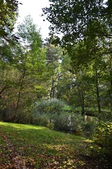 Septemberstimmung im Park