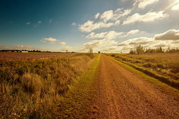 Rural Trail