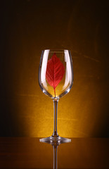 Red leaf in a glass