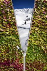 Fototapety na wymiar - Fototapeta24.pl