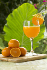 Group of orange and orange juice