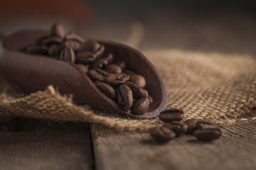 Coffee beans on a wooden scoop