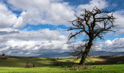 Paesaggio Umbro