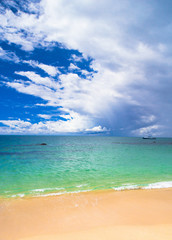 On a Beach Windy Holiday