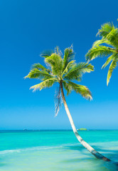 Idyllic Island Serenity Shore