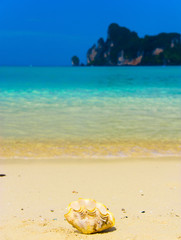 Beach Pearl Exotic Shore