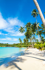 Serenity Shore Exotic Paradise