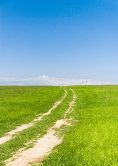 Through the Green Summer Lawn