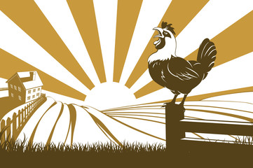 Farm and rooster © Christos Georghiou