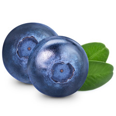 Obraz premium Blueberries