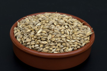 Gerstenaehren; Gerstenkoerner; Gerste;