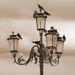 Fototapeta na wymiar Street lamp with the pigeons in Venice
