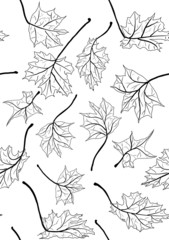 Fototapeta premium maple leaves sketches seamless background