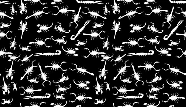 white scorpions seamless background illustration