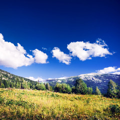 Obraz premium Beautiful mountain landscape. Altai, Russia